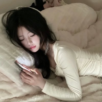 盗贼生涯